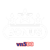 vn500