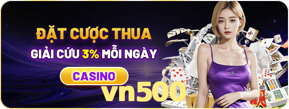 vn500