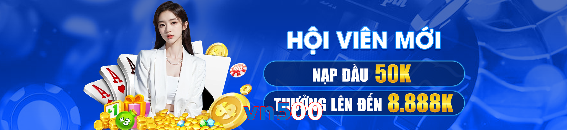 vn500