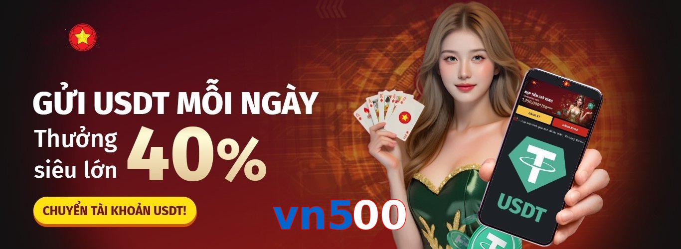 vn500