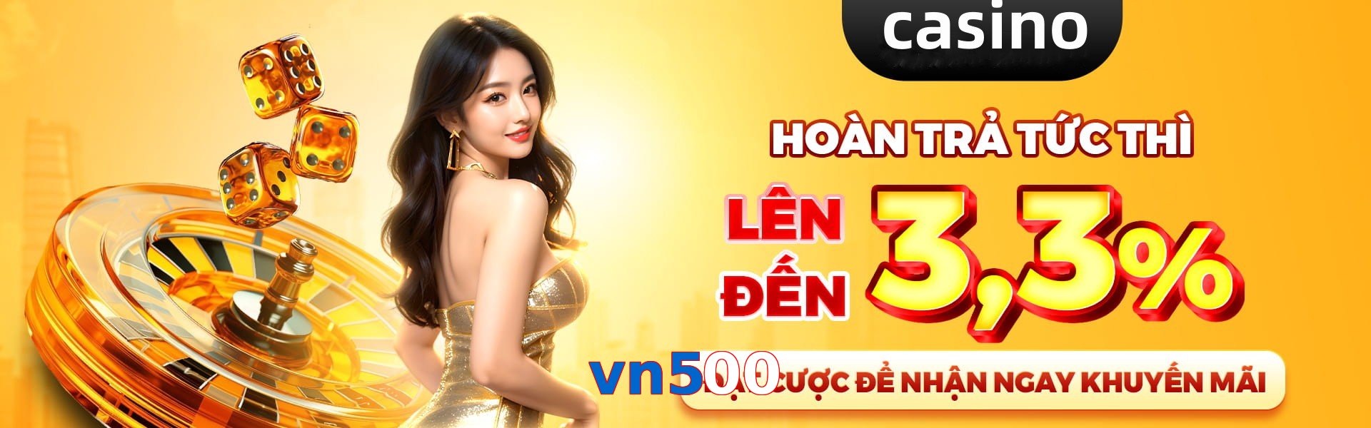 vn500