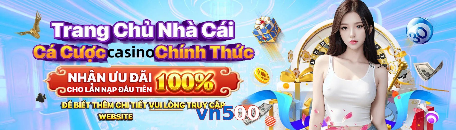 vn500