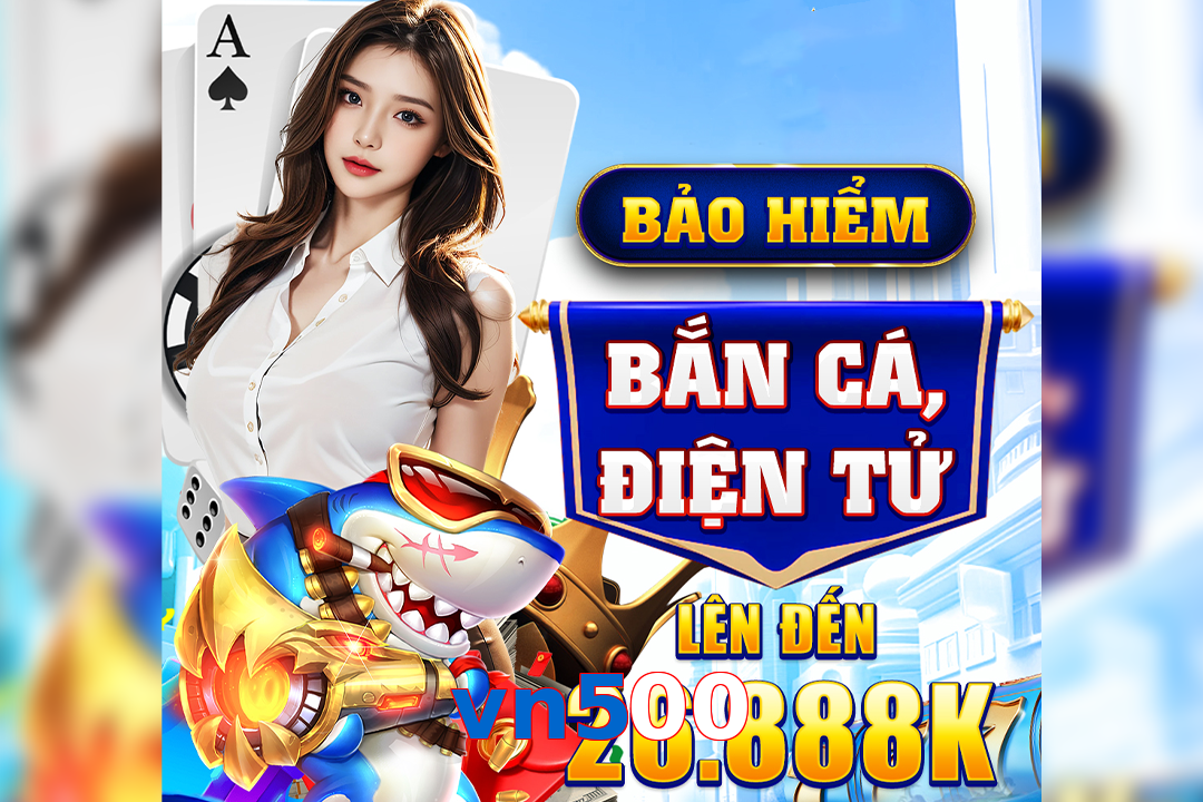 vn500
