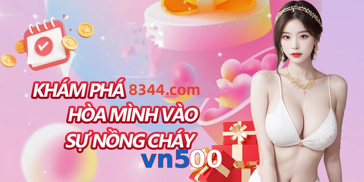 vn500