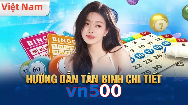 vn500