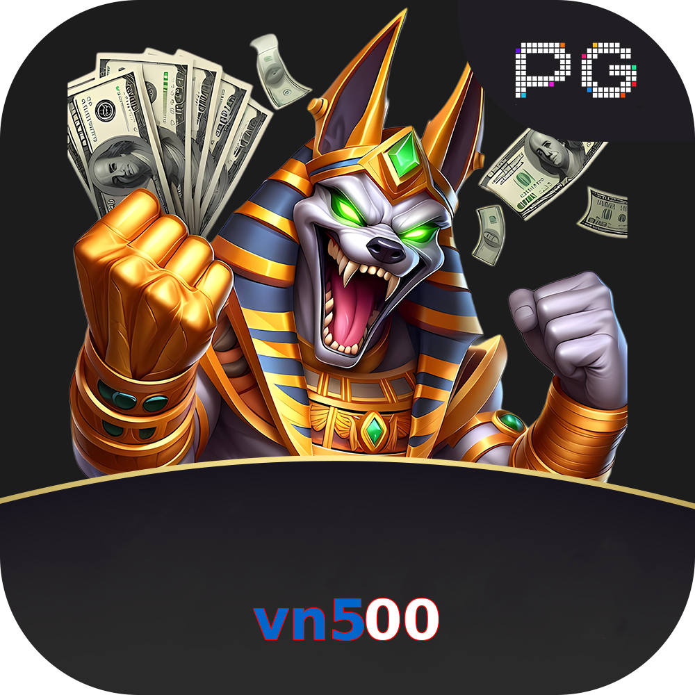 vn500