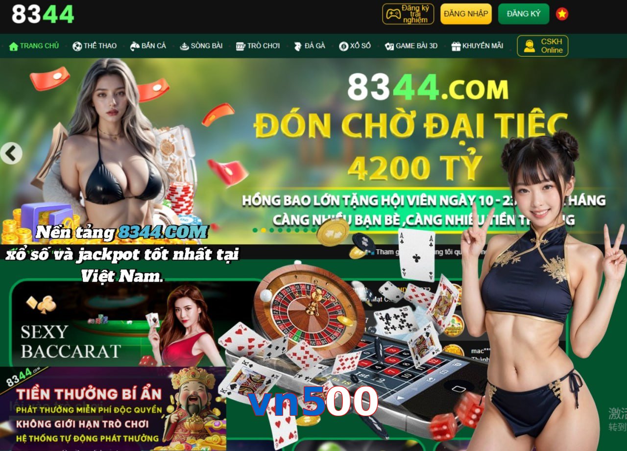 vn500